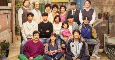 reply 1988 review
