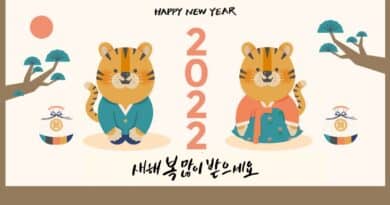 korean chinese zodiac year of tiger 2022
