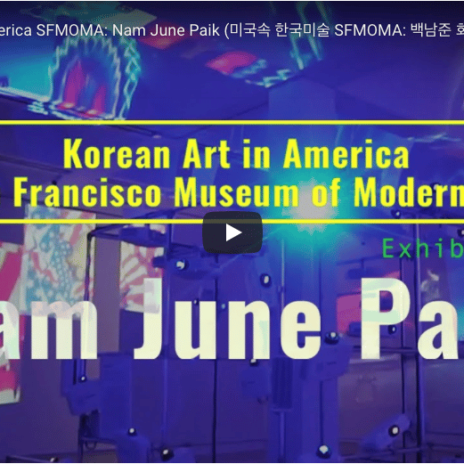 nam june paik