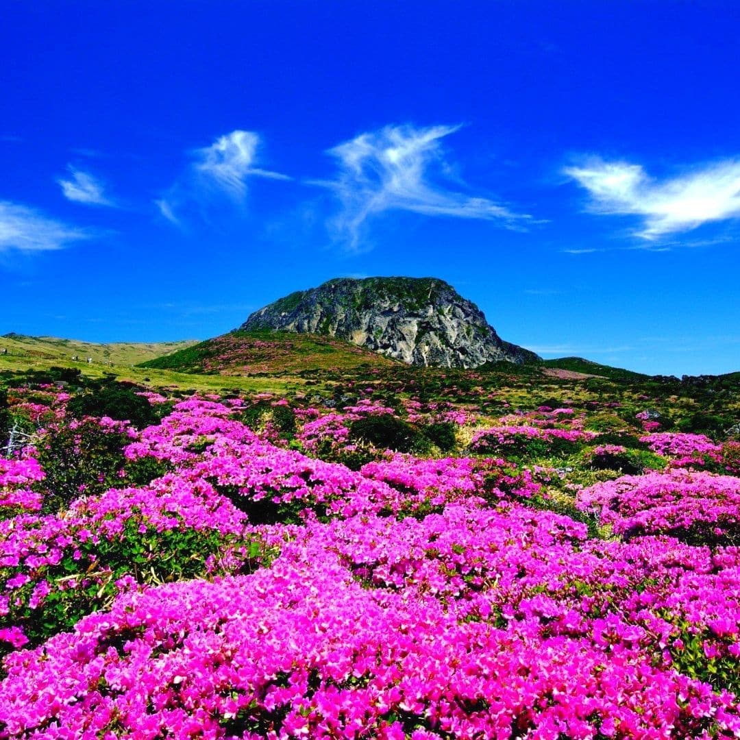 Natural Wonders in Korea