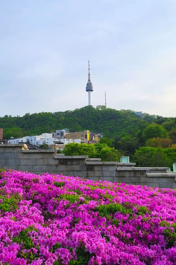 N Seoul Tower From Namsangol Park