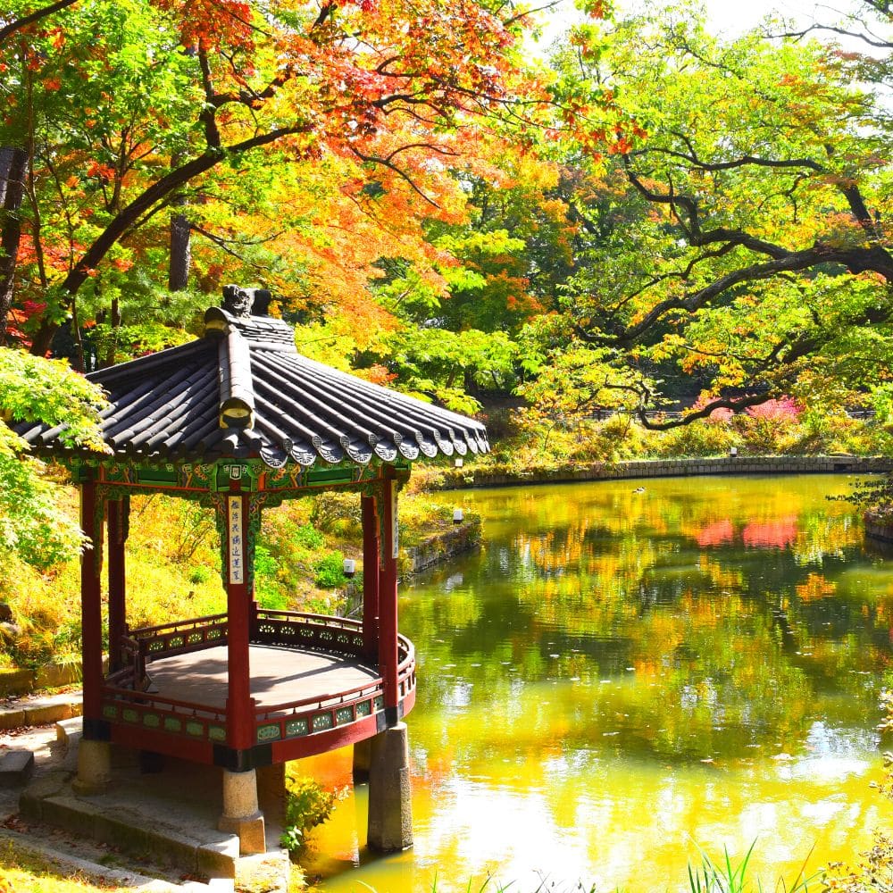 Secret Garden In Seoul Is A Beautiful Location