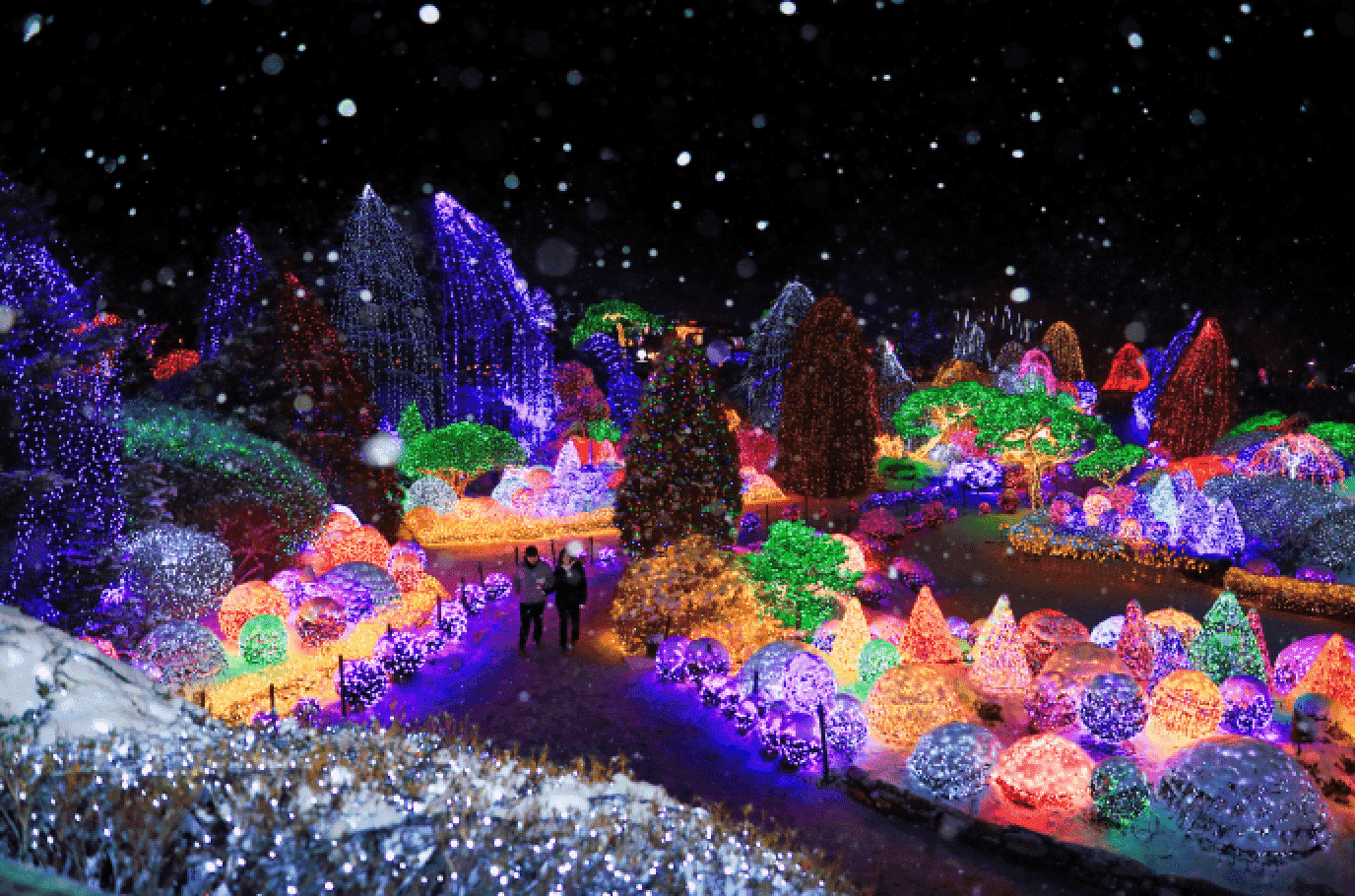 best winter activities in Korea