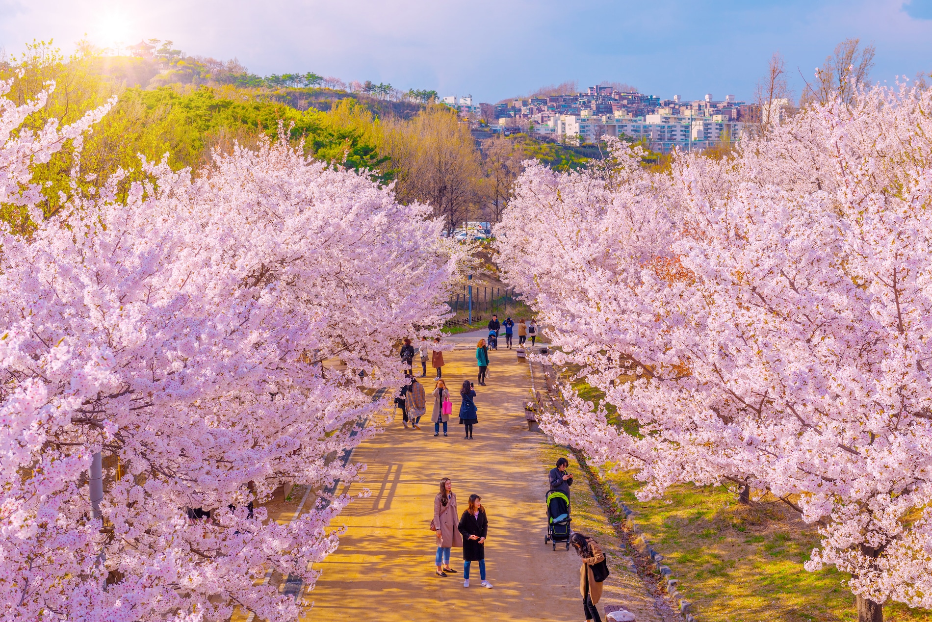 Korea in spring