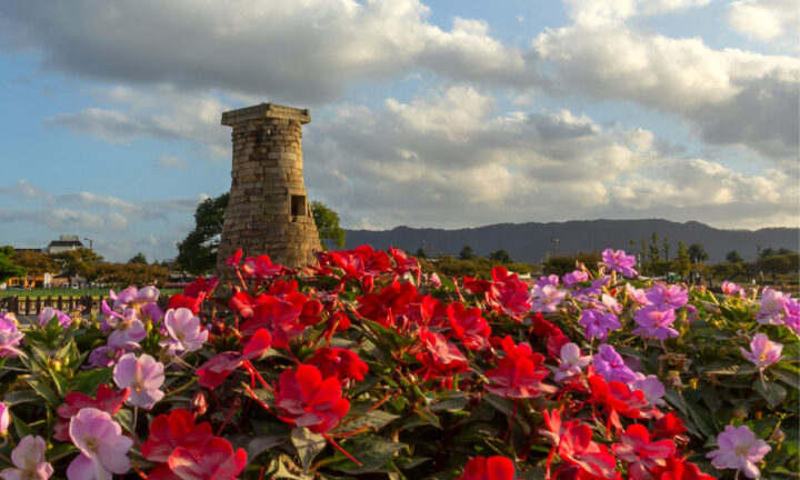 bok-gyeongju-hero Light lilac and red colored flowers rest in the foreground with Gyeongju's Cheomseongdae Observatory (첨성대) and a beautiful sky in the background.