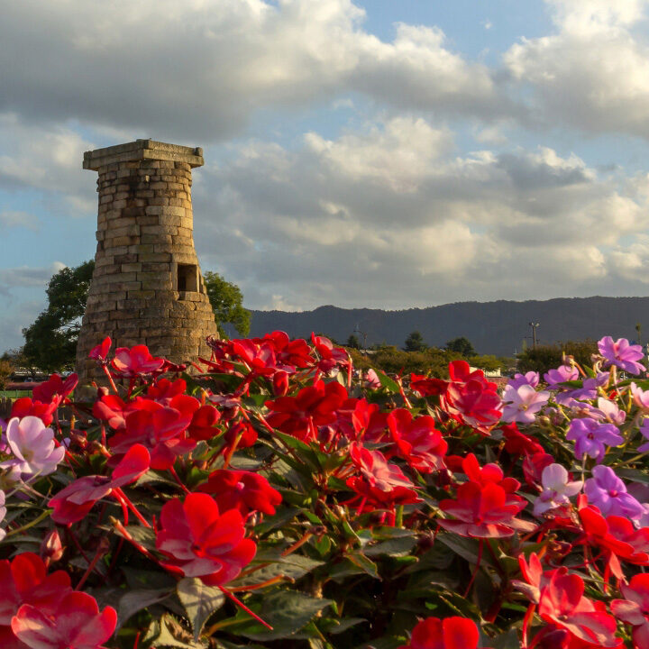 Light lilac and red colored flowers rest in the foreground with Gyeongju's Cheomseongdae Observatory (첨성대) and a beautiful sky in the background.