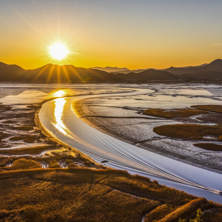 getbol korean mudflats