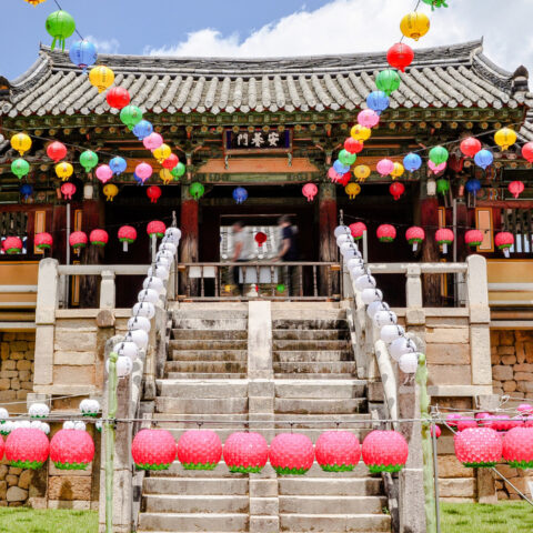 The front of entrance of a Korean Buddhist temple with colorful lanterns hanging above to honor Buddha’s birthday.